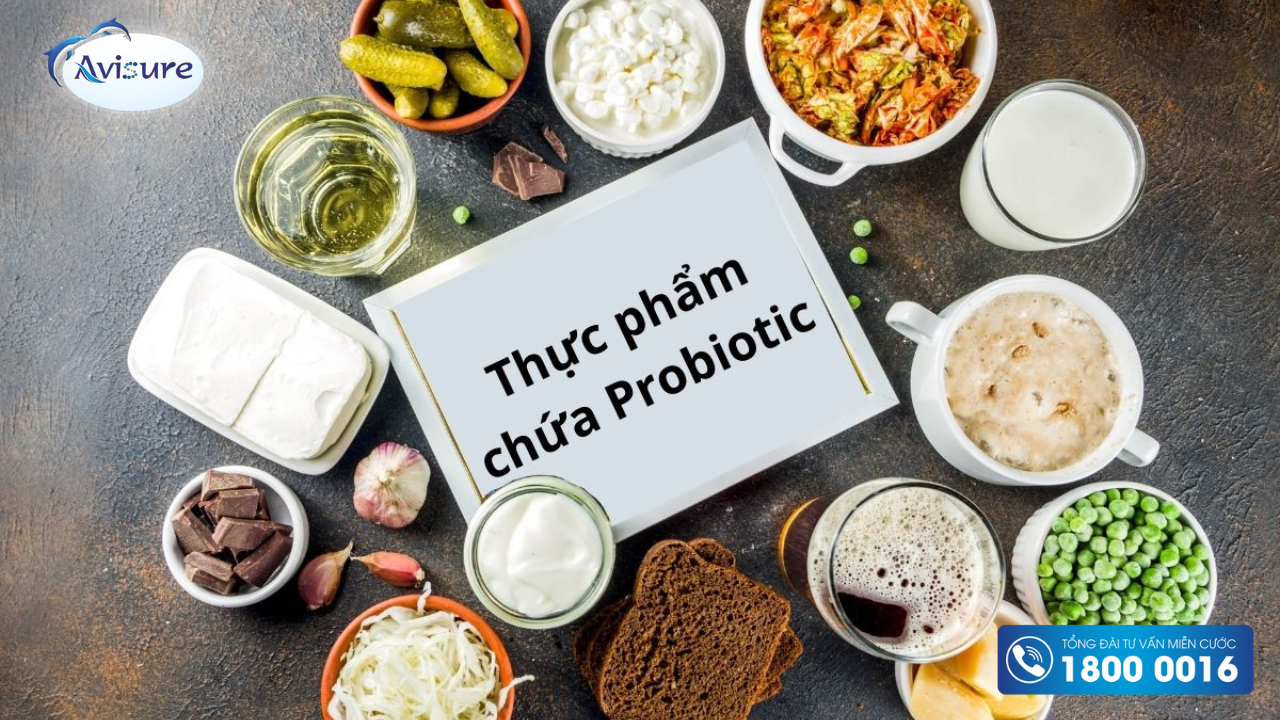 Top các thực phẩm giàu probiotics